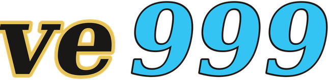 ve999 logo